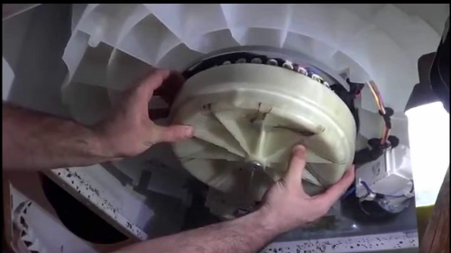 BlueWave Appliance Repair