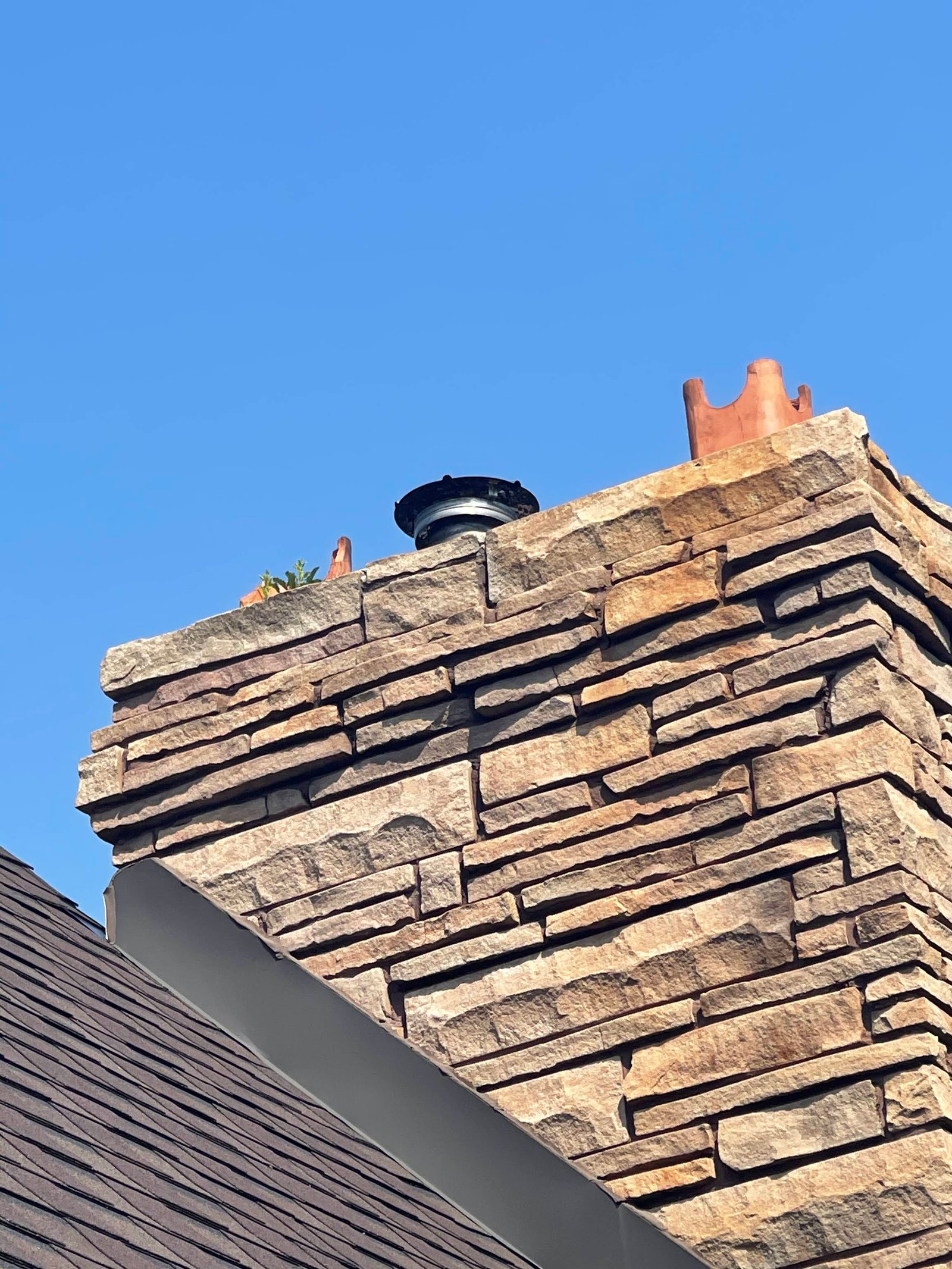 Quality Affordable Pest Control Toronto